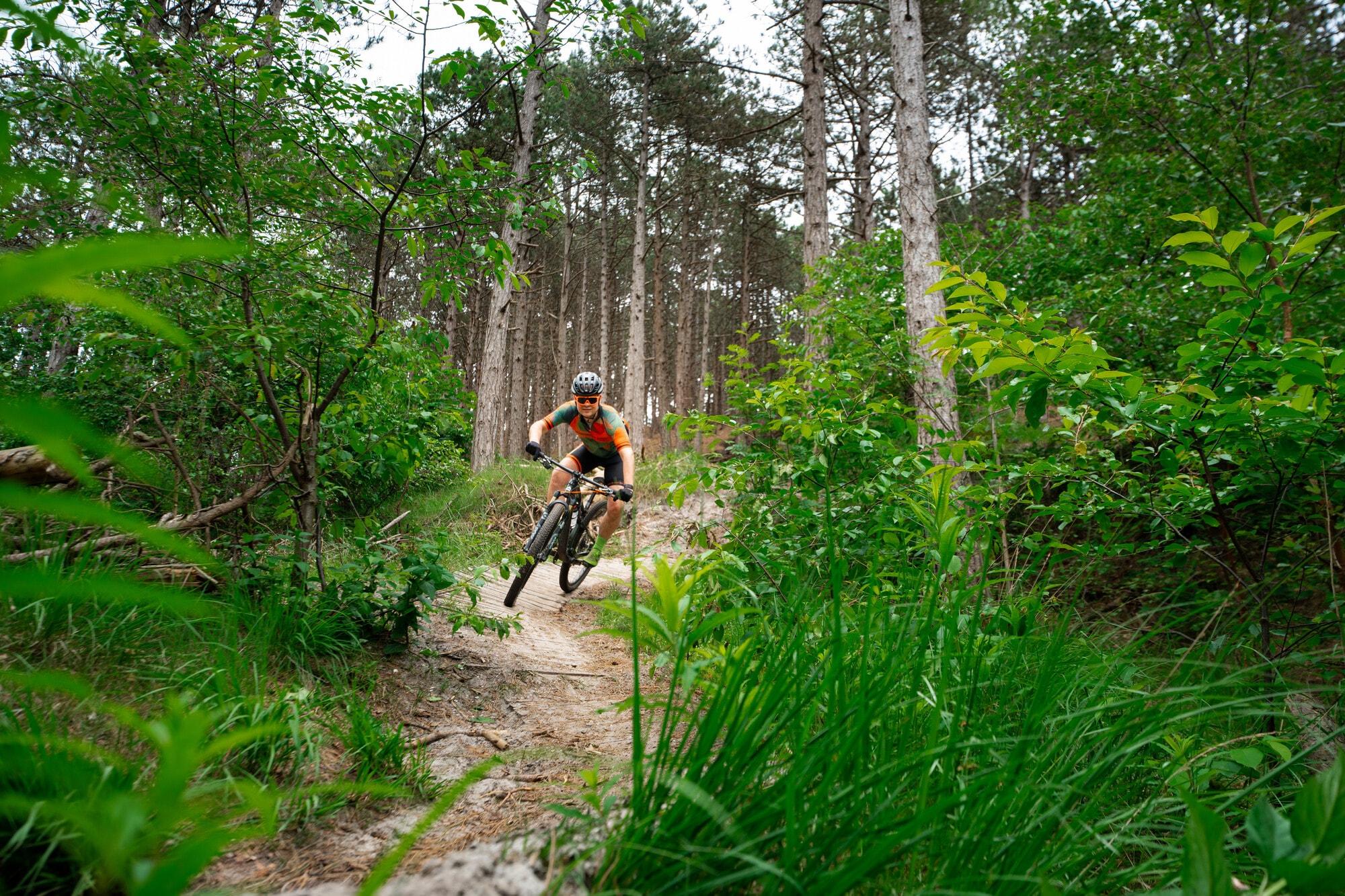 Mountainbiker daalt met vaart een smal pad af in de Schoorlse duinen